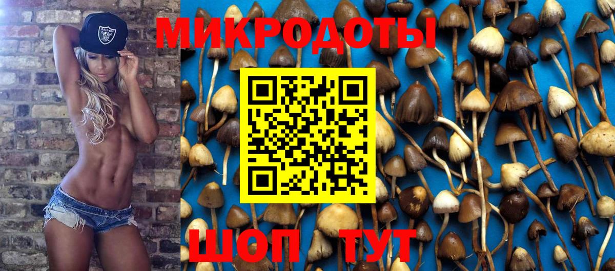 Галлюциногенные грибы Magic Shrooms  Вход с VPN  Дюртюли 